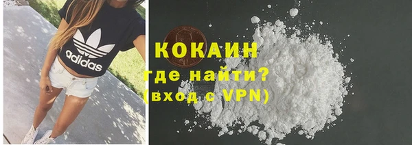 МДПВ Протвино
